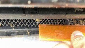 Сетка радиатора Haval M6