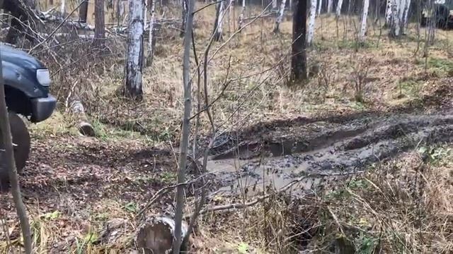 На дыроватый.  Лайт.  Шунут 44.