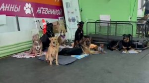 Зарисовки о тренировке)