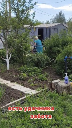 Есть у дачника забота)