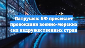Патрушев: БФ пресекает провокации военно-морских сил недружественных стран