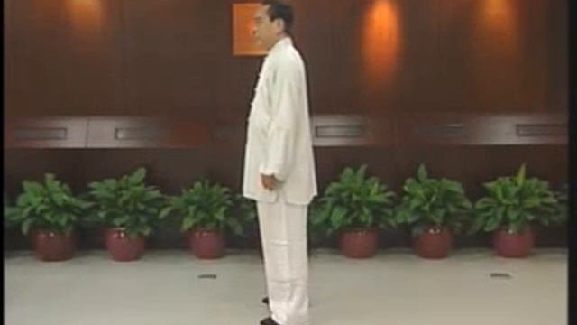 85 форм Ян ши Тайцзицюань / 赵幼斌杨氏太极拳85式 (2014).Часть - 2.