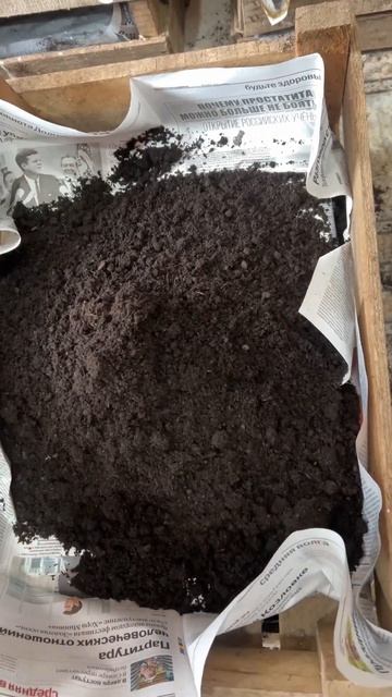 Как я сею семена смотреть онлайн