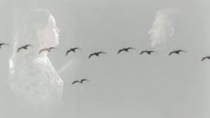 "Журавли" (муз. Я. Френкеля, сл. Р. Гамзатова), вокал Анна, Роман