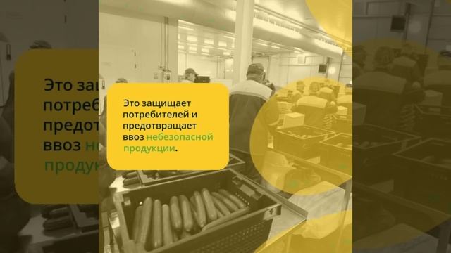 Обновлённые правила сертификации — что изменилось в 2025 — sertex.org
