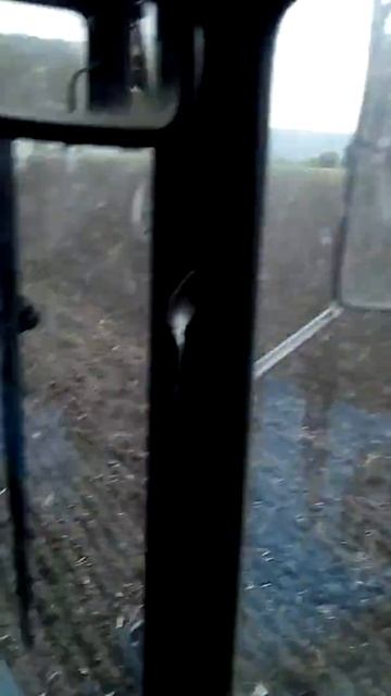 Закрытие влаги смотреть онлайн