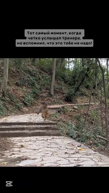 Ты точно такое делал 😂🤣🤣 Ну правда, нам это не надо. смотреть онлайн