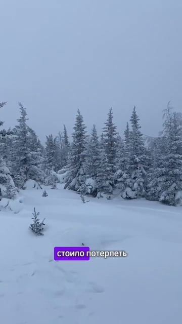 ЛУЧШЕЕ СВИДАНИЕ или КАК Я ОТМОРОЗИЛА 🍑 #влог #мойдень #отношения #свидание #горы #иремель #shots смотреть онлайн