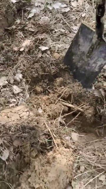 Купил игрушку #shots #поискметалла #металлоискатель #мет смотреть онлайн