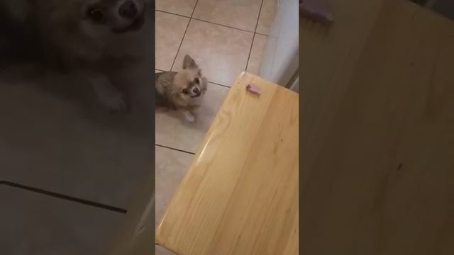 14 января 2023 г.