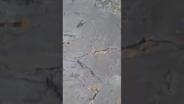 В гости к Джаниикту (4/10)  Петроглифы в долине реки Аккёль смотреть онлайн