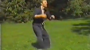 боевое искусство-ниндзюцу