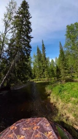 #shorts На аэролодке в верховьях реки защита сработала #рыбалка   #природа  #fishing