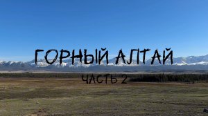 Наше маленькое путешествие на автодоме с двумя котами на Горный Алтай. Часть 2