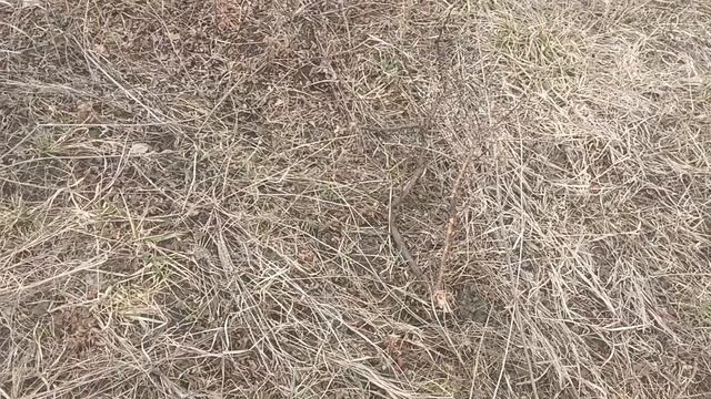 металлоискатель тх-850