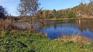 Берег реки ,Волга