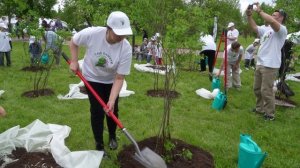 Парк Памяти у Парфенона Горки Ленинские