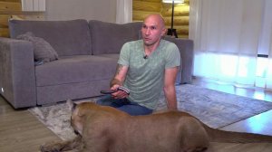 Российское правительство утвердило новый список запрещенных животных