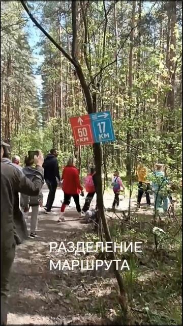 майская прогулка