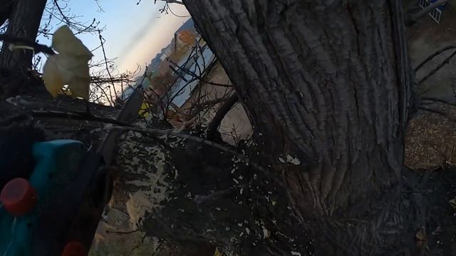 Валил деревья с друзьями в пригороде Алматы . Электроп смотреть онлайн