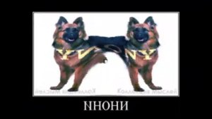 Марки Телефонов + Шиза Коллекция Мыслей in Funny Foreigner