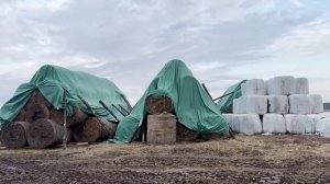Молодая ферма, Дарья, хозяйство в Тверской области. Применение флиса для сена и соломы от Лелаф