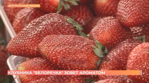 Старый базар. 17 мая 2025