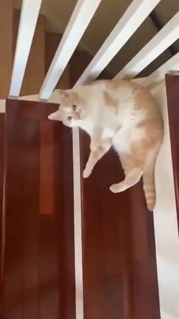 урок как нужно спускаться по лестнице. смотреть онлайн