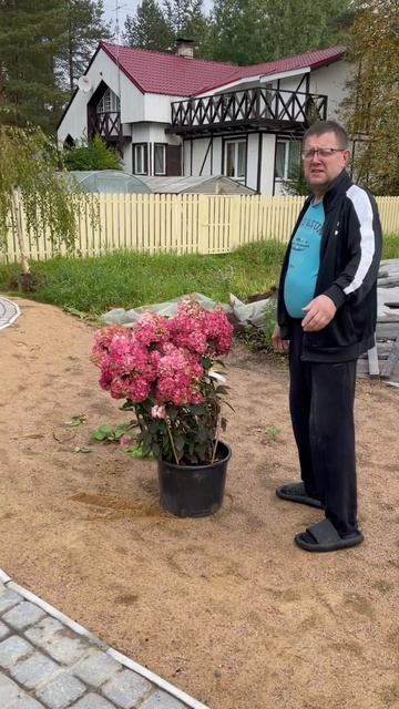 Первые посадки 🌹🌺🌸🌳🌲 смотреть онлайн