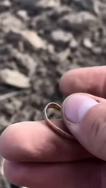 НАШЛИ ЗОЛОТОЕ КОЛЬЦО🔥 — Серый Копатель #золото #коп #? смотреть онлайн