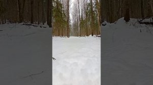 На лыжах торможение с горы плугом #2025