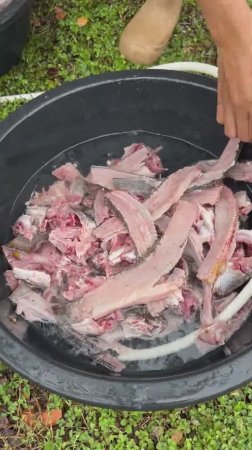 Удивительные блюда из рыбы от сельских поваров  Part2