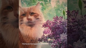 Сиреневый вечер.