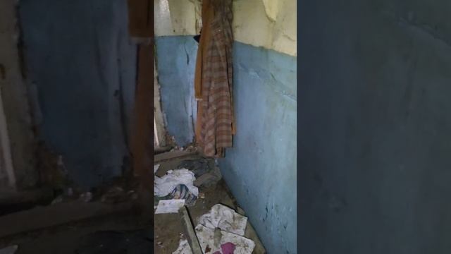 Бросили всю деревню. Ивановская обл#деревня #деревенс? смотреть онлайн