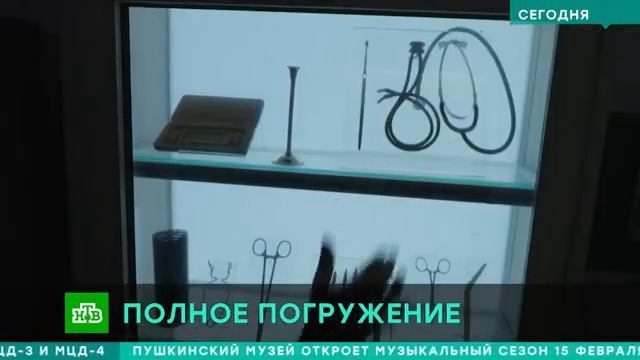 Глубокое погружение: в Москве набирают популярность интерактивные выставки