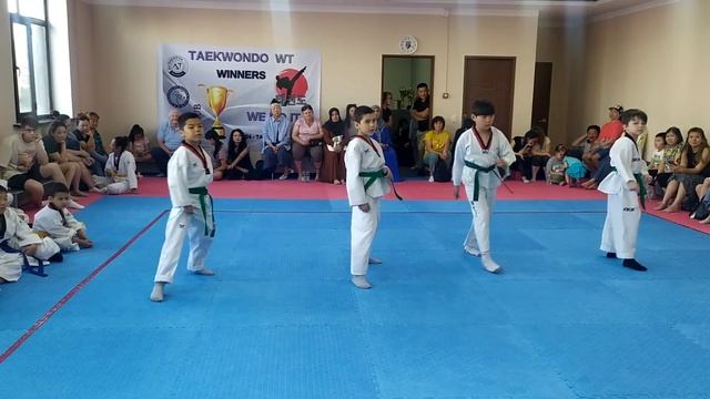 Аттестация по таэквондо на зелёно-синий пояс смотреть онлайн