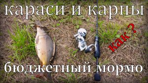 Караси и карпы на бюджетный МОРМЫШИНГ !!! Nautilus Fukuru 0,1-0,8 гр. УМЕЕТ в "белую" рыбу