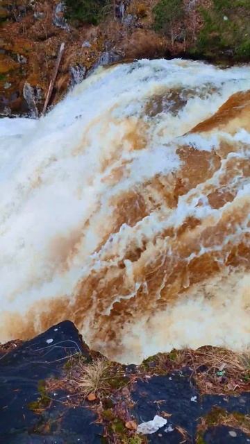 Карелия Кивач туризм природа nature карелия кивач водопад автотуризм