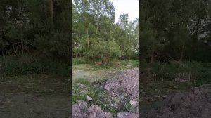 Весна в разгаре, птички поют и щебечут!