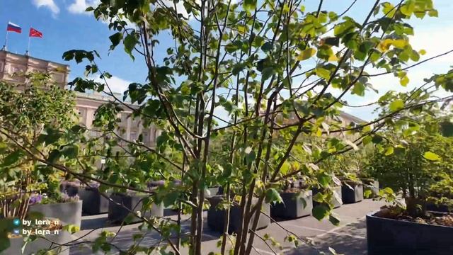 Работа в росписи одежды: плюсы и минусы | Гуляем по Пит? смотреть онлайн