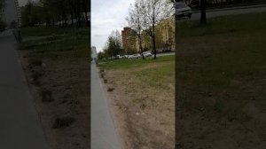 Иду с настроением в поликлинику