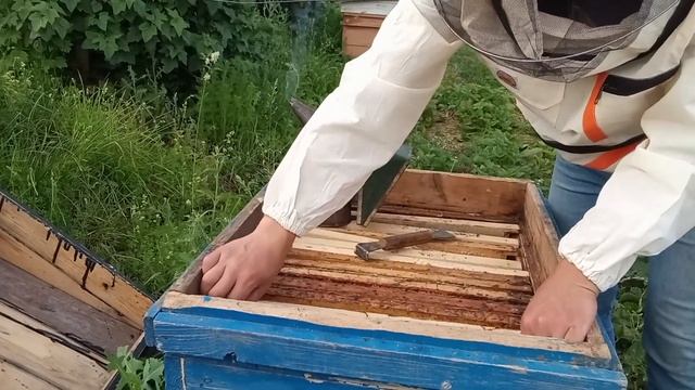 Приобрёл новый костюм. Снова вожусь с пчёлами. смотреть онлайн