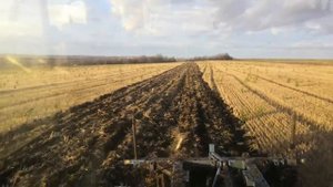 пч-2.5 Алмаз по стерне