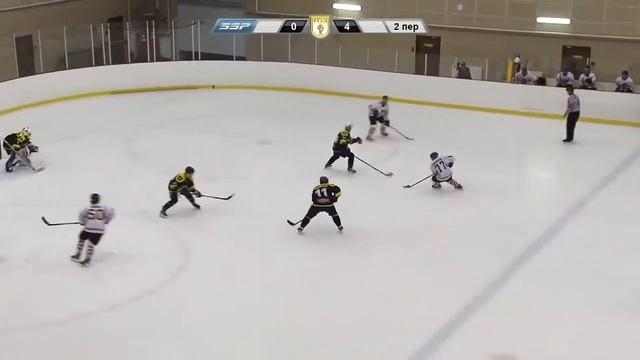 FISCHER vs Тигры смотреть онлайн