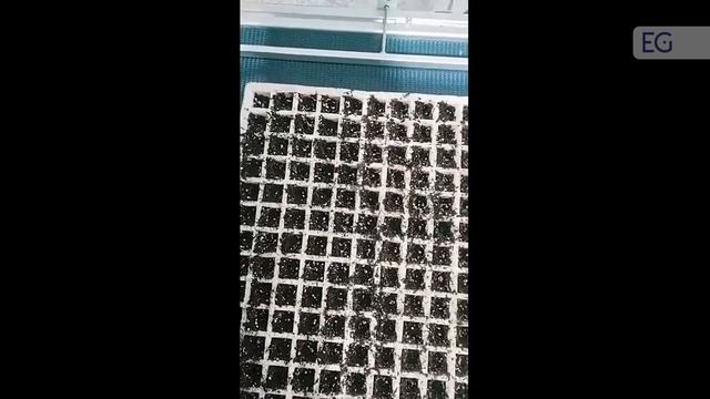 Оборудование для высева семян JCG-300 смотреть онлайн