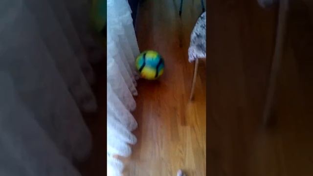 Обзор на мой новый мяч смотреть онлайн