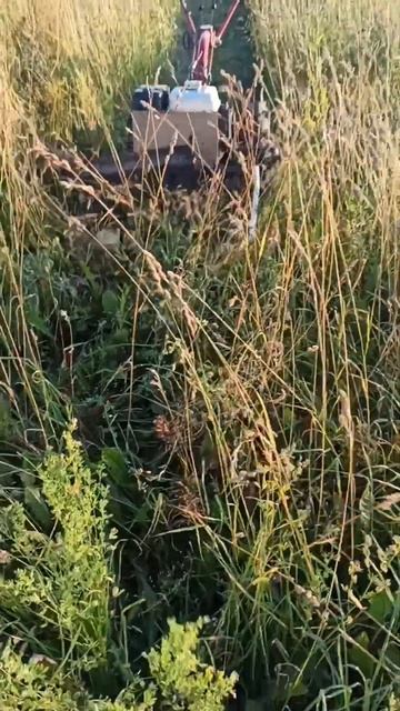 Самокос#сенокос#2024#villagelife#деревня#лето#жара#кайф#июль#? смотреть онлайн