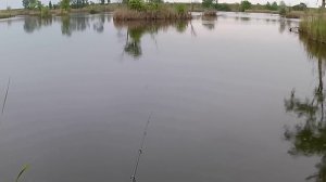Отдых и рыбалка на озере Комарово часть1
