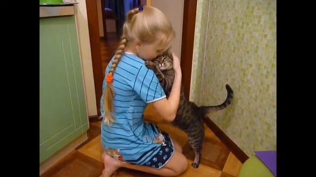 Кошачьи нежности