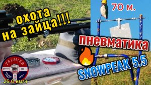 Охота на зайца